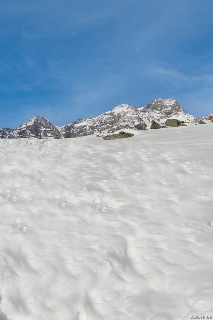 I Quattromila del Monte Rosa come si osservano durante la salita. Foto Cesare Re