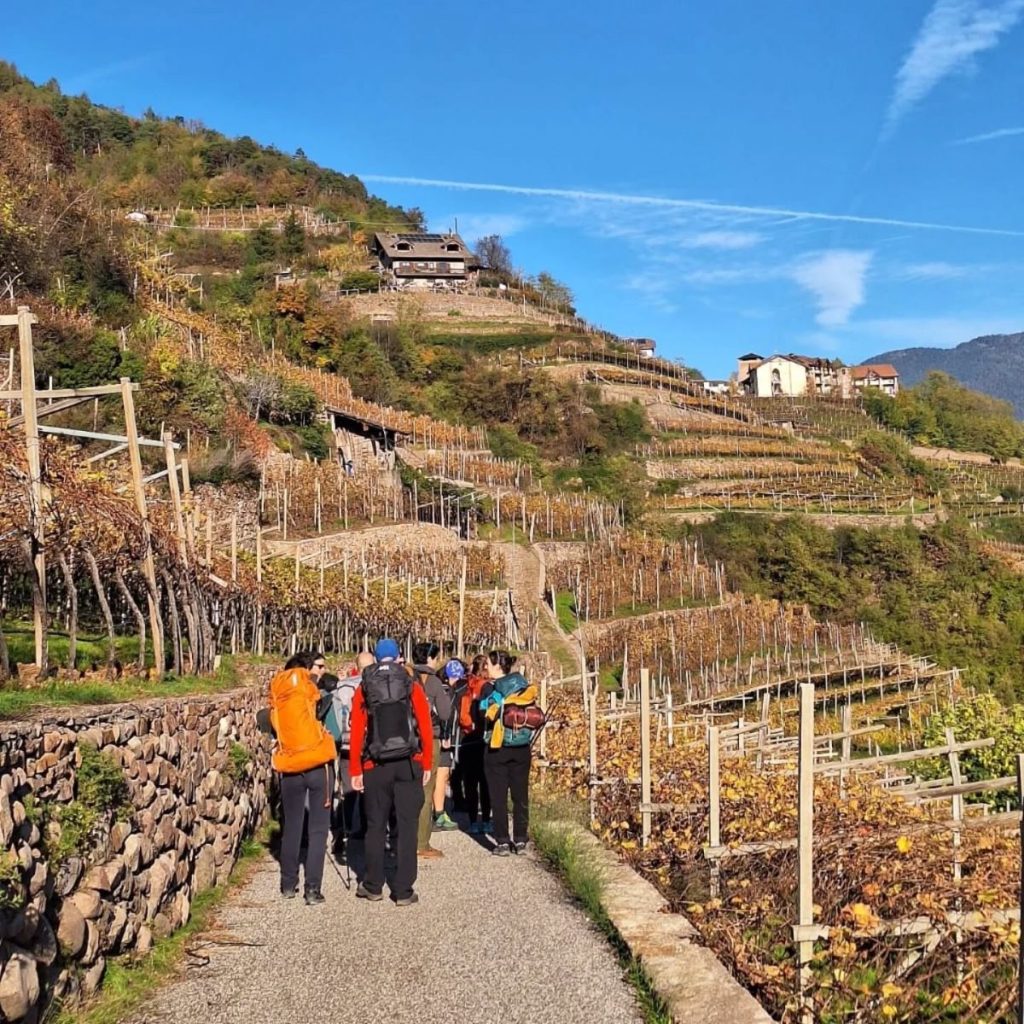 In cammino tra i vigneti terrazzati