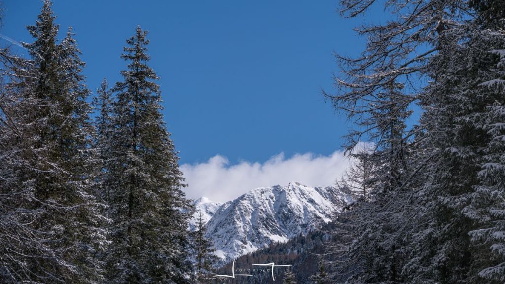 Uno sguardo verso le montagne appena lasciato il parcheggio. Foto Luigi Tassi