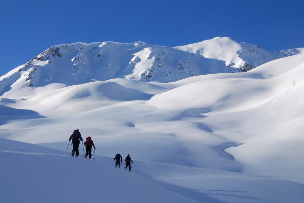 Escursione scialpinistica ad alta quota @ AdobeStock