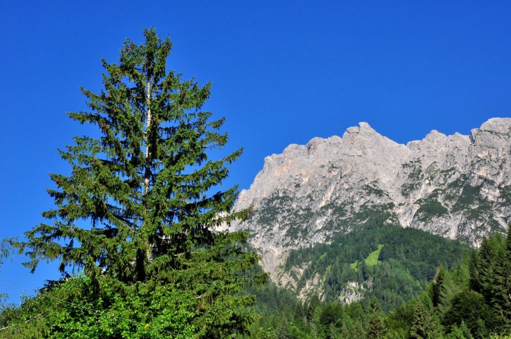 Il Clap dalla Val Pesarina, foto Stefano Ardito