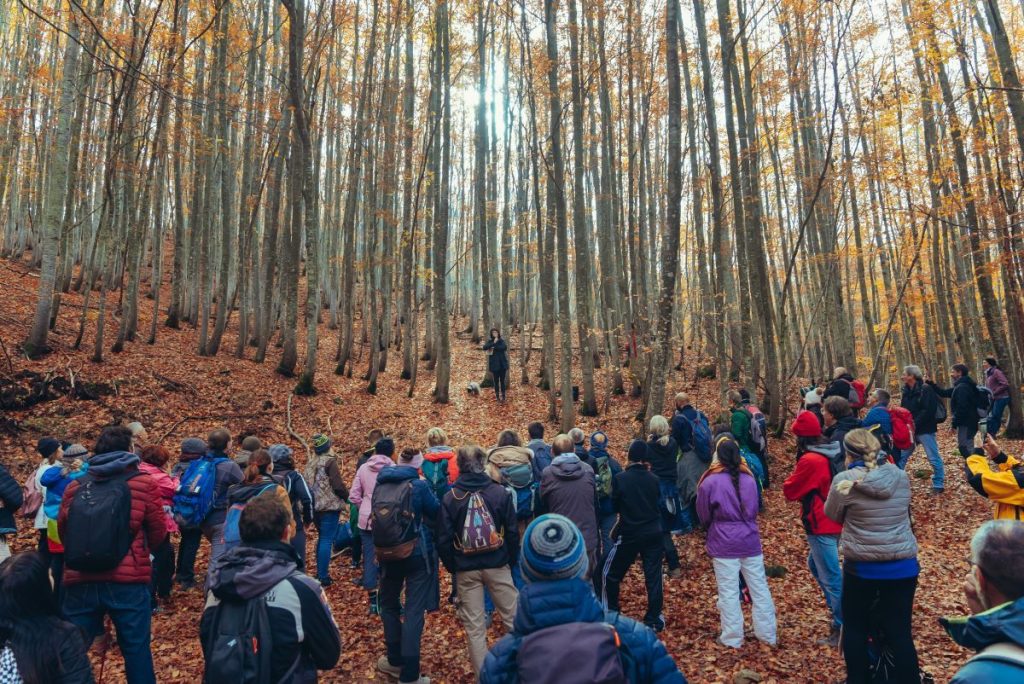 Il momento della lettura. Foto Pierluigi De Rubertis