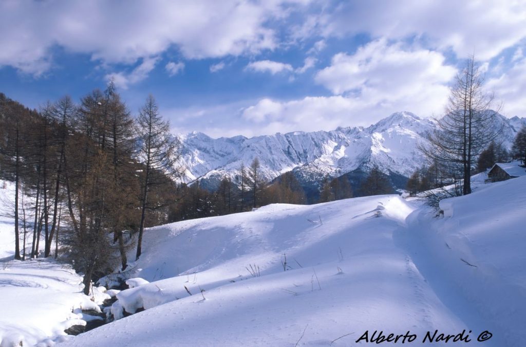 Il sentiero che risale la Val Canè. Sullo sfondo Presanella e Adamello. Foto Alberto Nardi