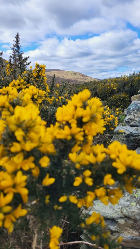 Le Mourne Mountains. Foto Monica Malfatti