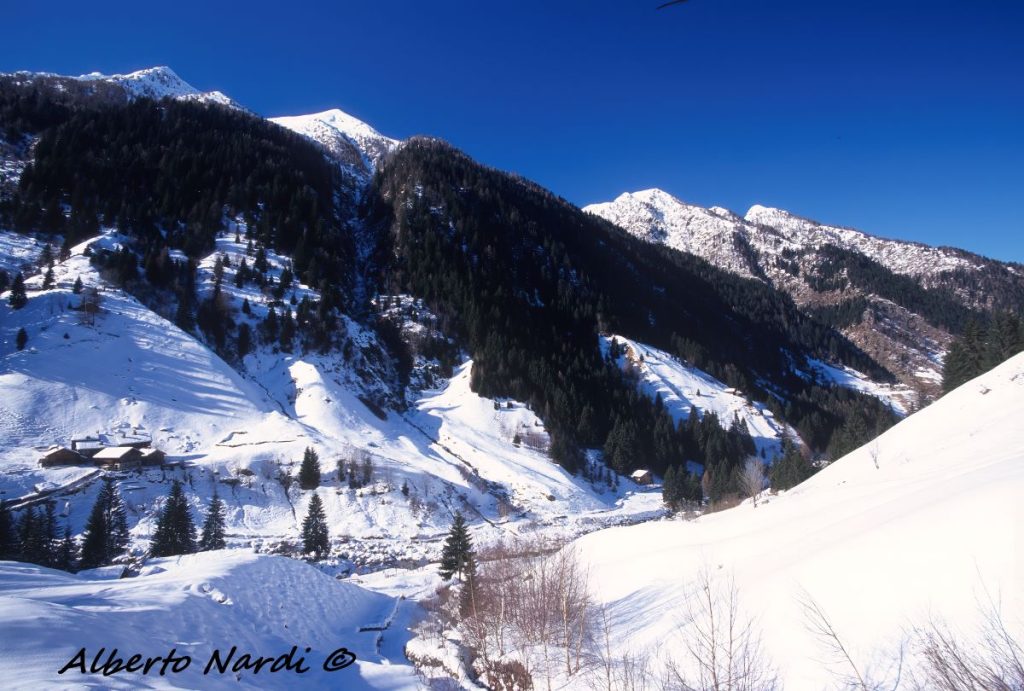 Nella parte più in quota dell