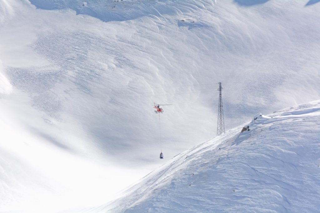 Bonifica pendii con la Daisy bell @ AdobeStock