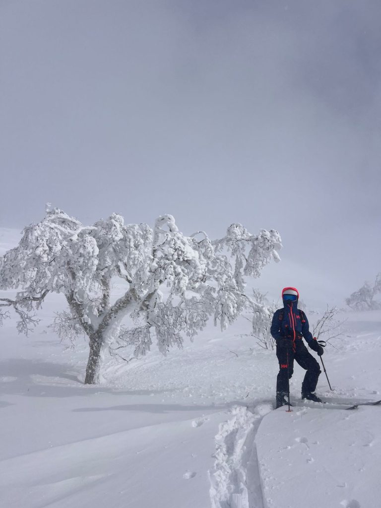 Il mondo bianco di Niseko. Foto Tatiana Bertera