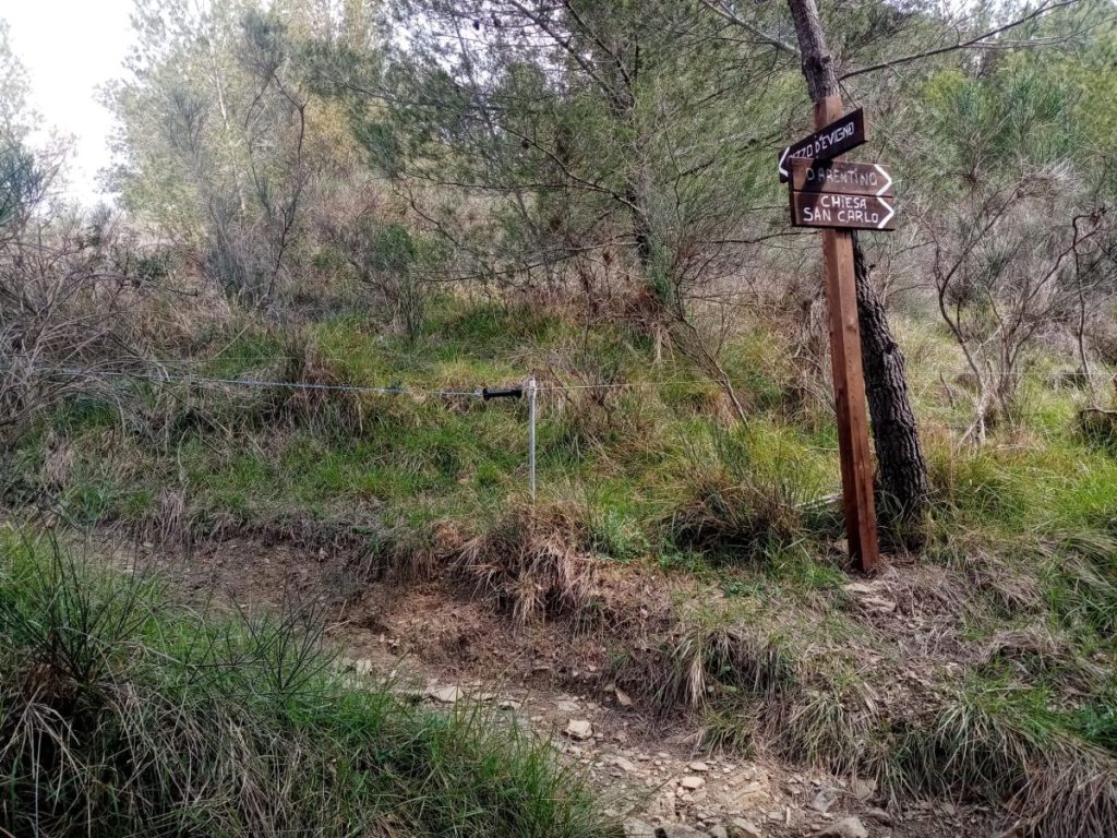 La nuova segnaletica