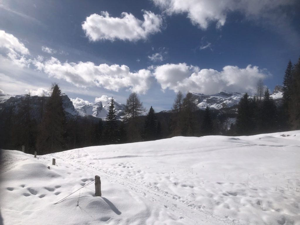 Panorama verso il Nuvolau dalle malghe Fedarola ( foto M. Spampani)