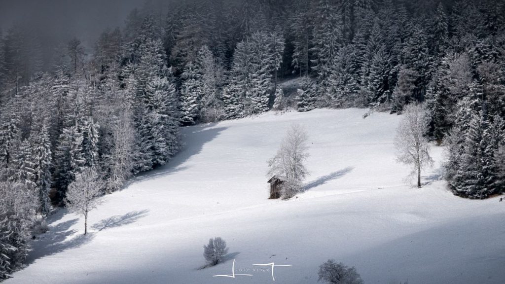 Si cammina tra foreste, malghe e radure. Foto Luigi Tassi