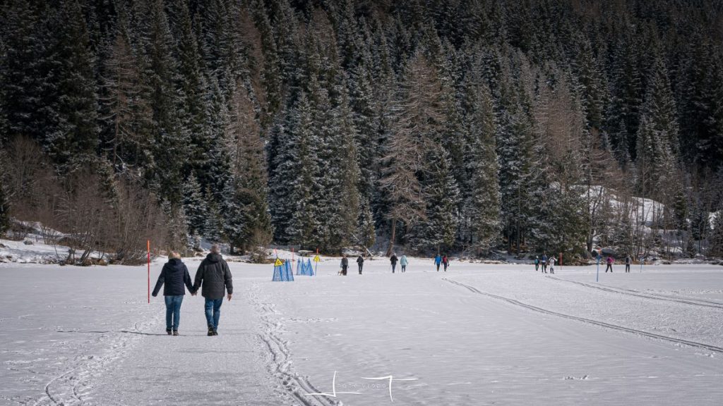 Il tracciato escursionisti corre parallelo alle pista da fondo. Foto Luigi Tassi