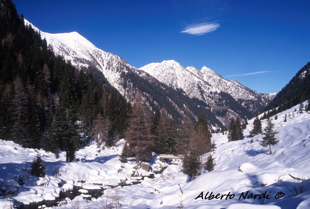 In Val di Lemna. Foto Alberto Nardi
