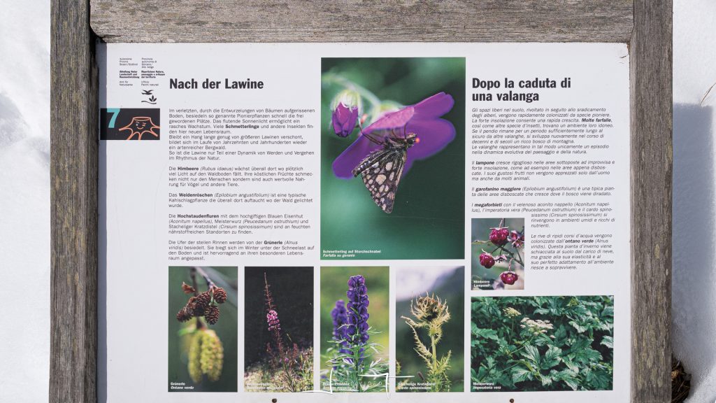 Uno dei pannelli informativi del Parco. Foto Luigi Tassi