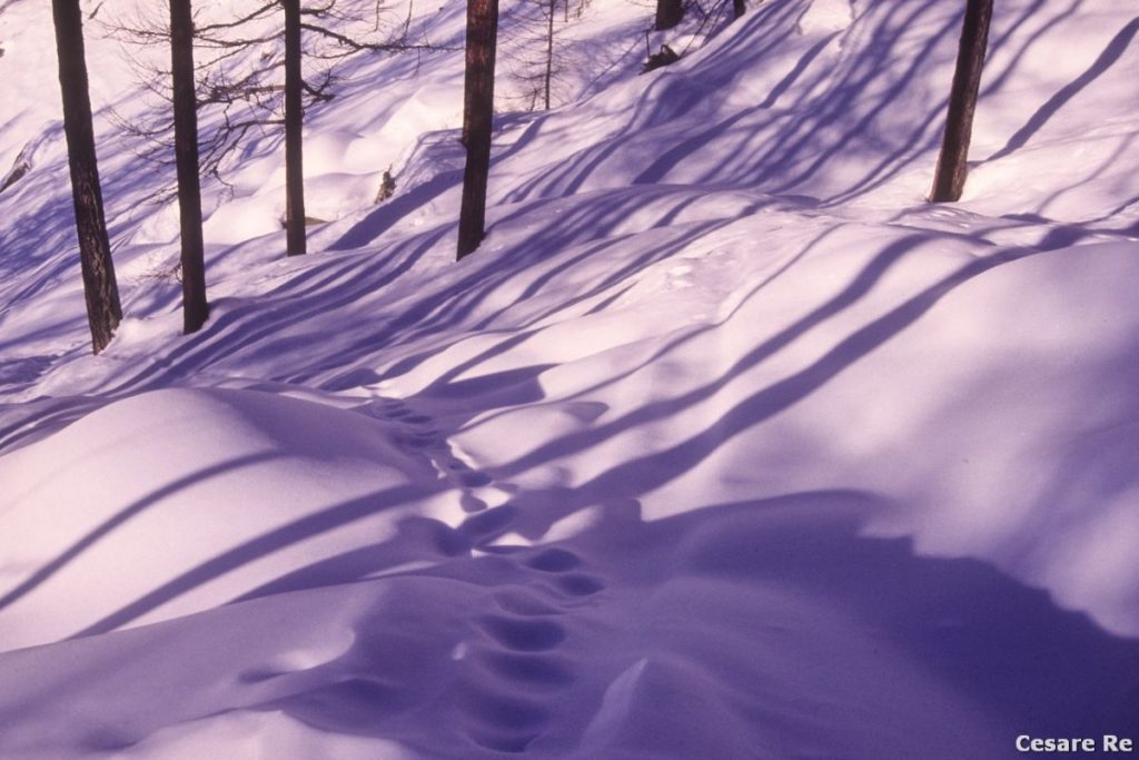 Verso il Pian di Verra. Foto Cesare Re