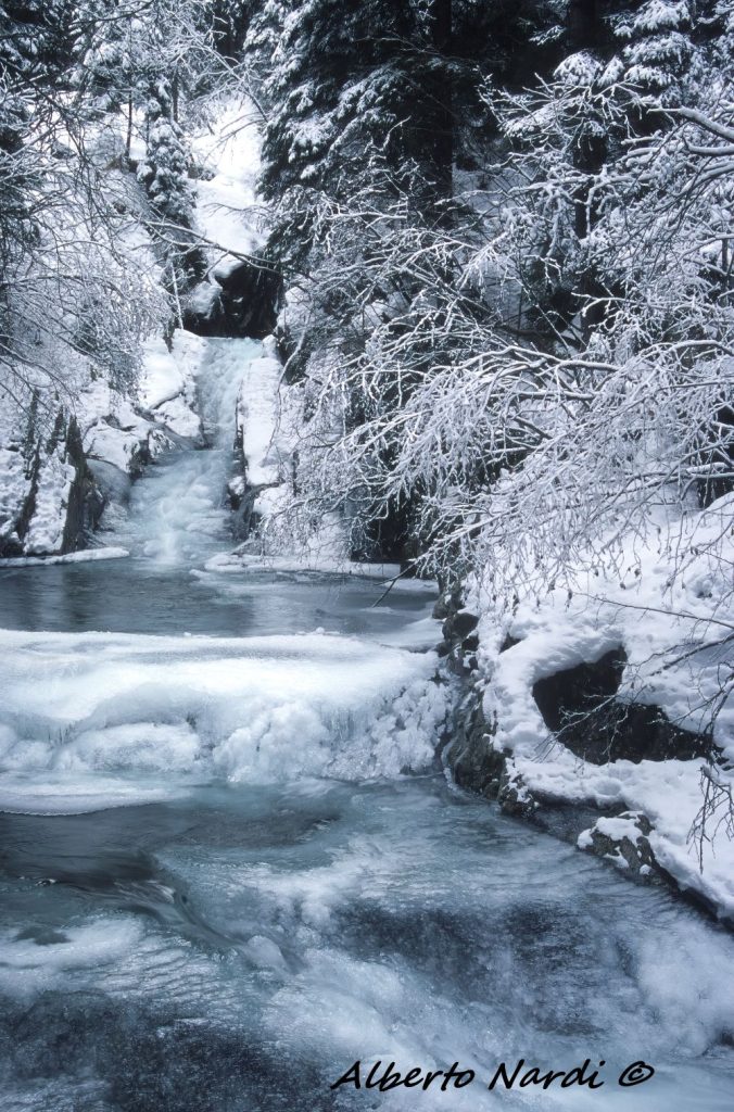 Il torrente ghiacciato. Foto Alberto Nardi