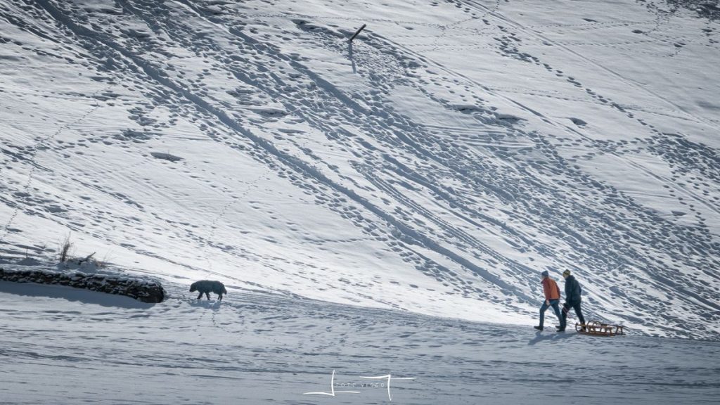 Attenzione, cani sempre al guinzaglio. Foto Luigi Tassi