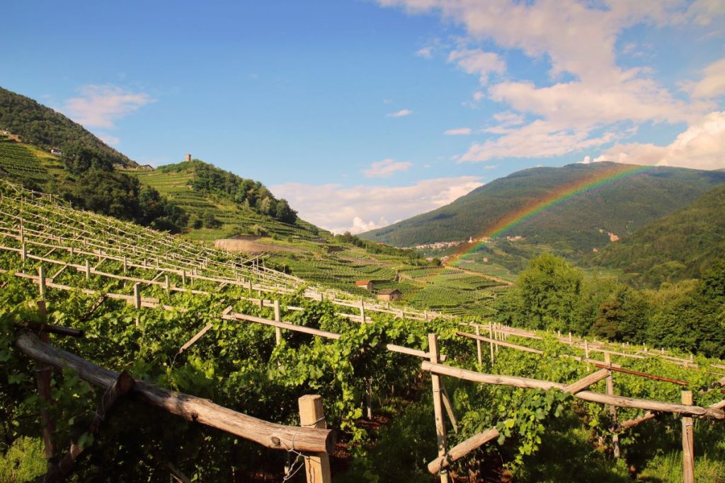 Val di Cembra. Foto Davide Gardener