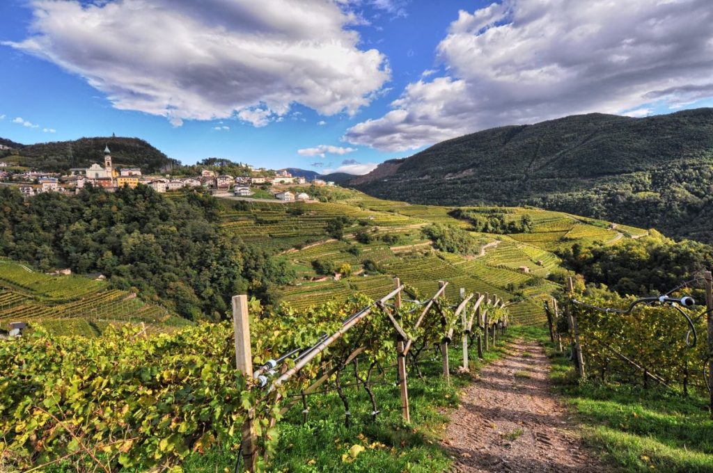Giovo, tra i vigneti della Val di Cembra. Foto L. Lona