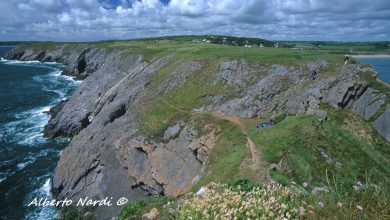 Lungo il Pembrokeshire Coast Path, in Galles. Foto Alberto Nardi