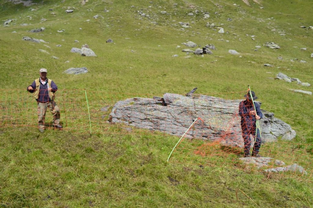 Si montano le recinzioni elettrificate. @ pasturs.org