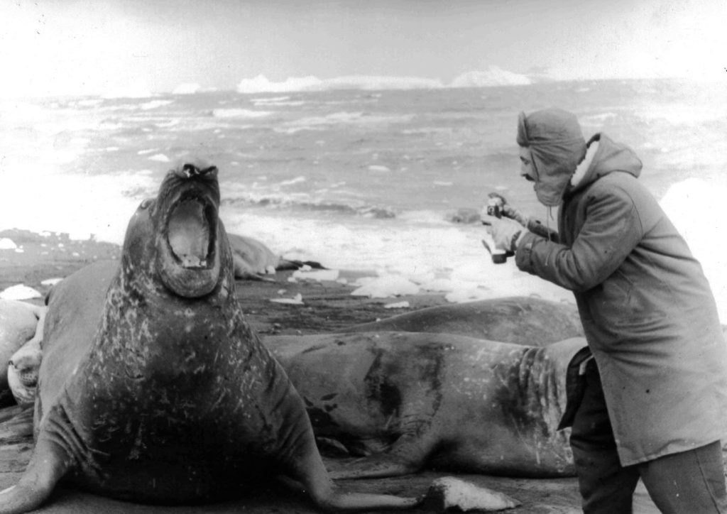 Dal film Silencio Branco