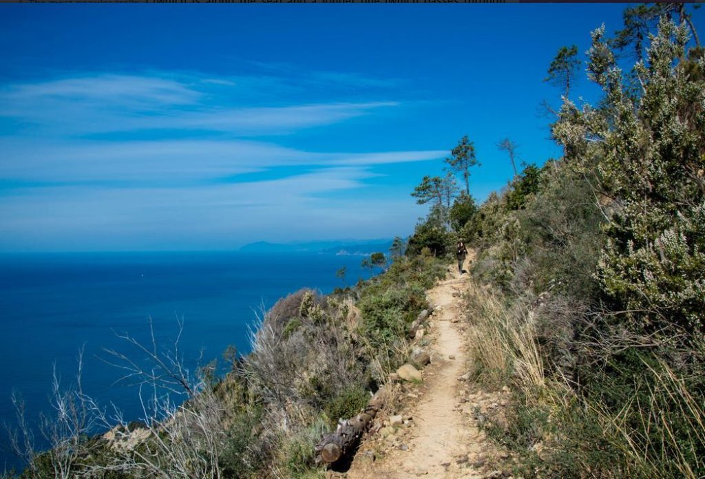 Lo spettacolo dai sentieri delle Cinque Terre