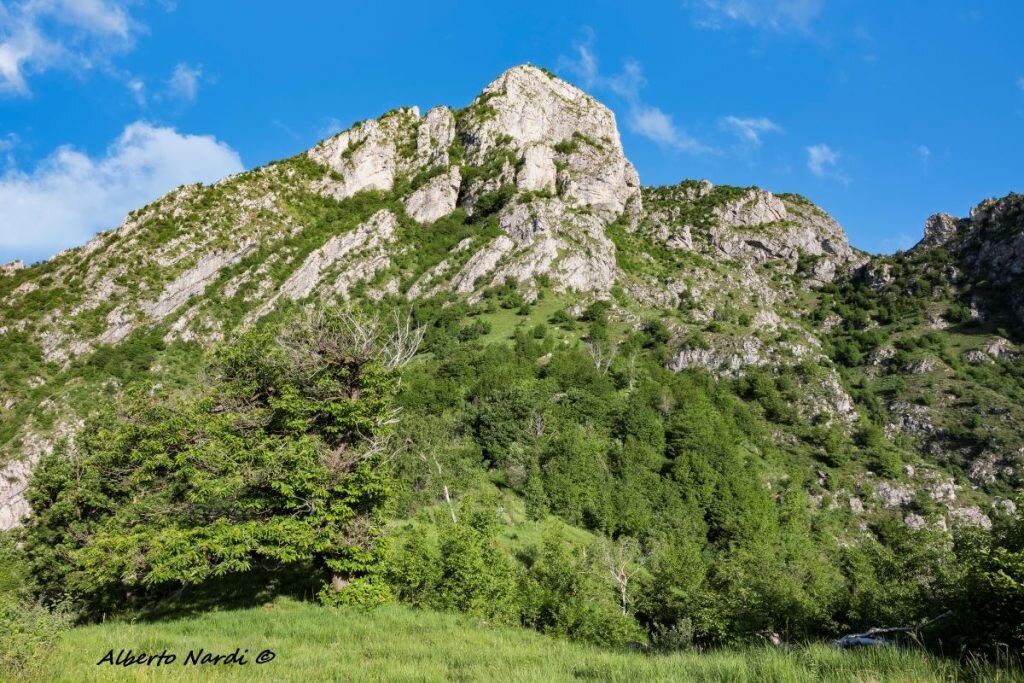 Il Corno Birone dal Ceppo della Forcola. Foto Alberto Nardi