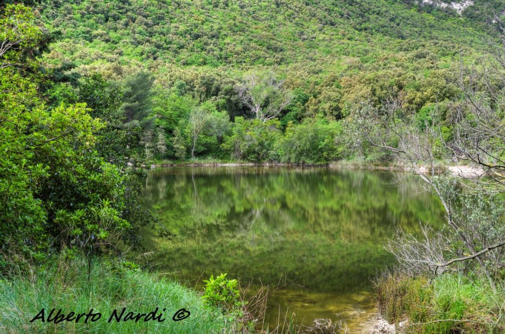 Il Lago Profondo di Portonovo. Foto Alberto Nardi