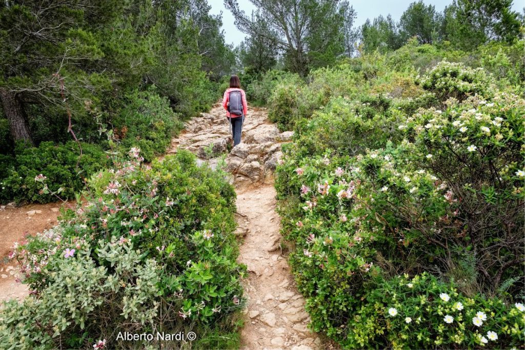 Il sentiero verso la Gouffre. Foto Alberto Nardi