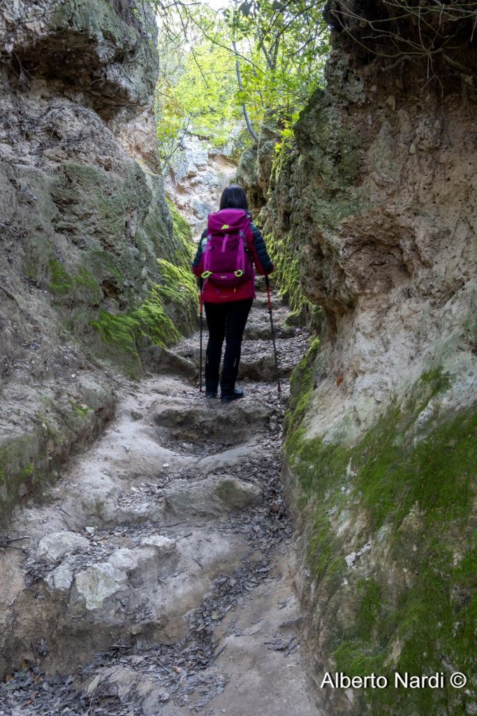 Nella forra lungo il sentiero delle Cascate del Menotre. Foto Alberto Nardi