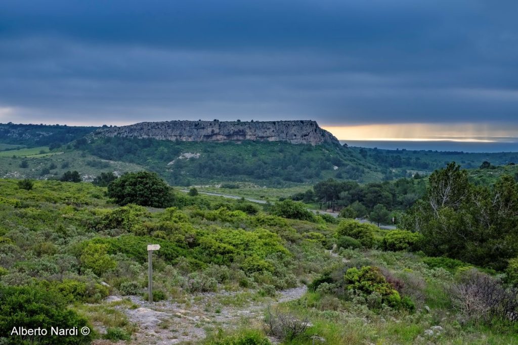 Il Massiccio de la Clape nel Parco regionale della Narbonnaise en Méditerranée. Foto Alberto Nardi