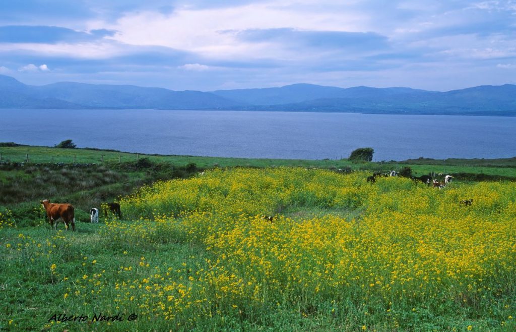Il panorama dalla Penisola di Beara. Foto Alberto Nardi