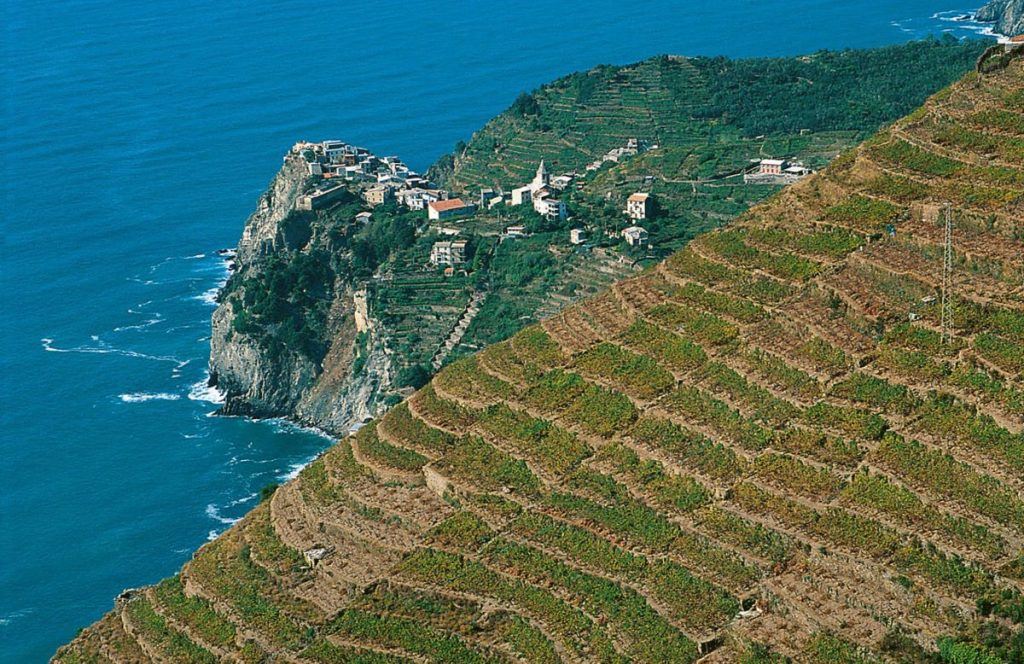Terrazzamenti, borghi marinari e falesie sono le carte irresistibili delle Cinque Terre @ Ansa