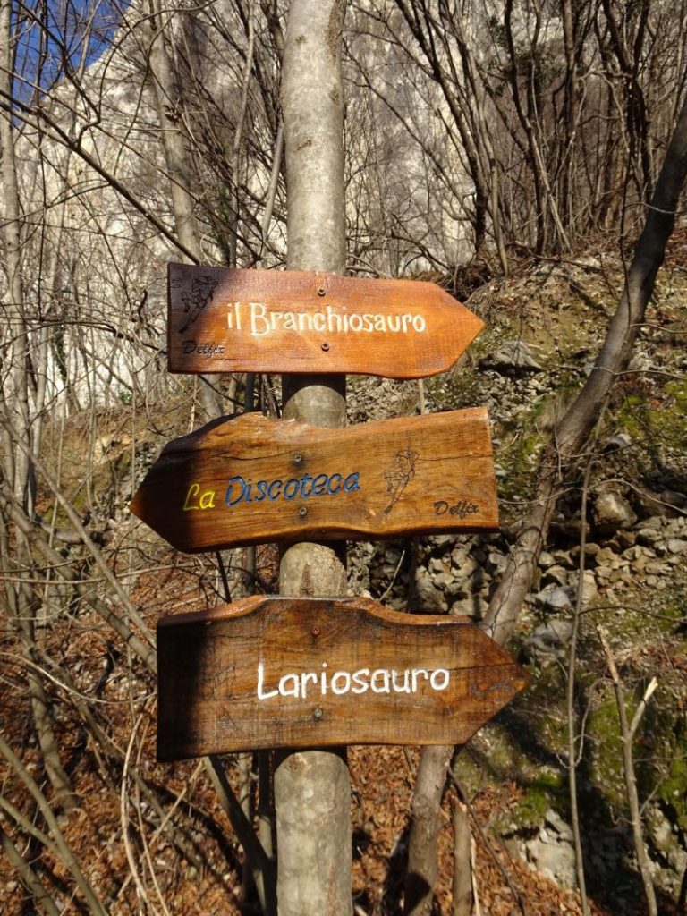 Avvicinamento al Branchiosauro