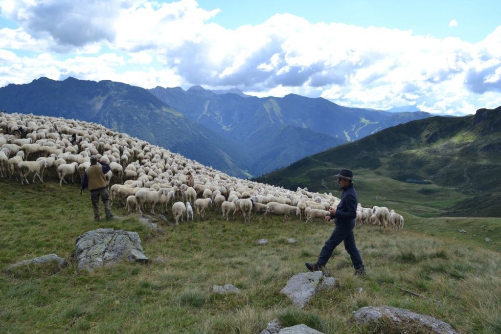Da una passata edizione del progetto Pasturs @pasturs.org