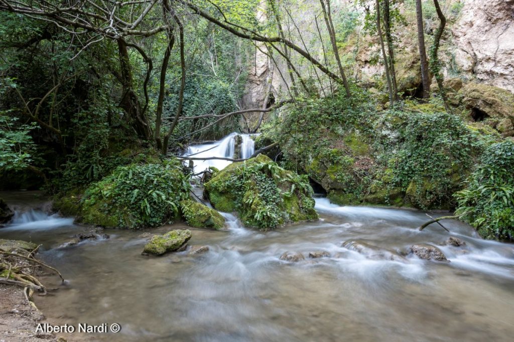 Il torrente Menotre. Foto Alberto Nardi