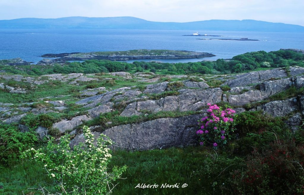 La Kenmare Bay. Foto Alberto Nardi