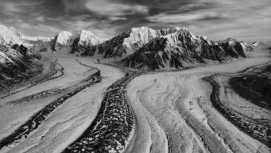 Una delle immagini di Sebastião Salgado in mostra. @ Sebastião Salgado