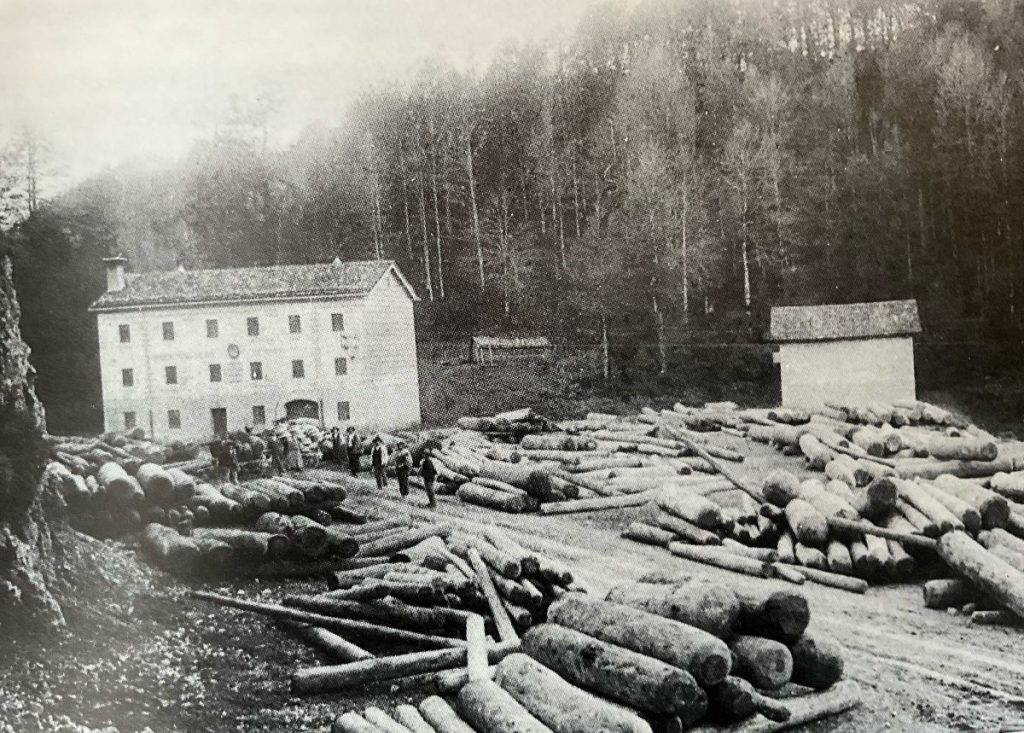Deposito di concentramento dei legnami al limite della foresta del Cansiglio. Da Le vie del Fiume dalle Dolomiti a Venezia ( Cierre edizioni 1993)
