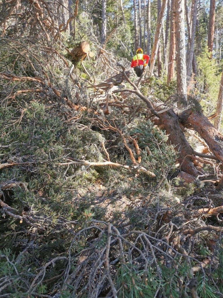 I danni causati dal maltempo di aprile