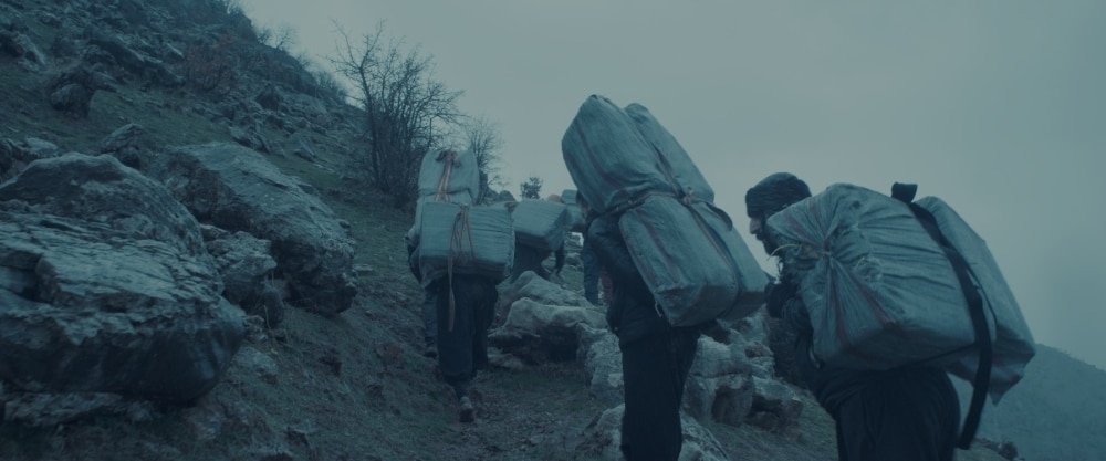 All The Mountains Give di Arash Rakhsha - Genziana d