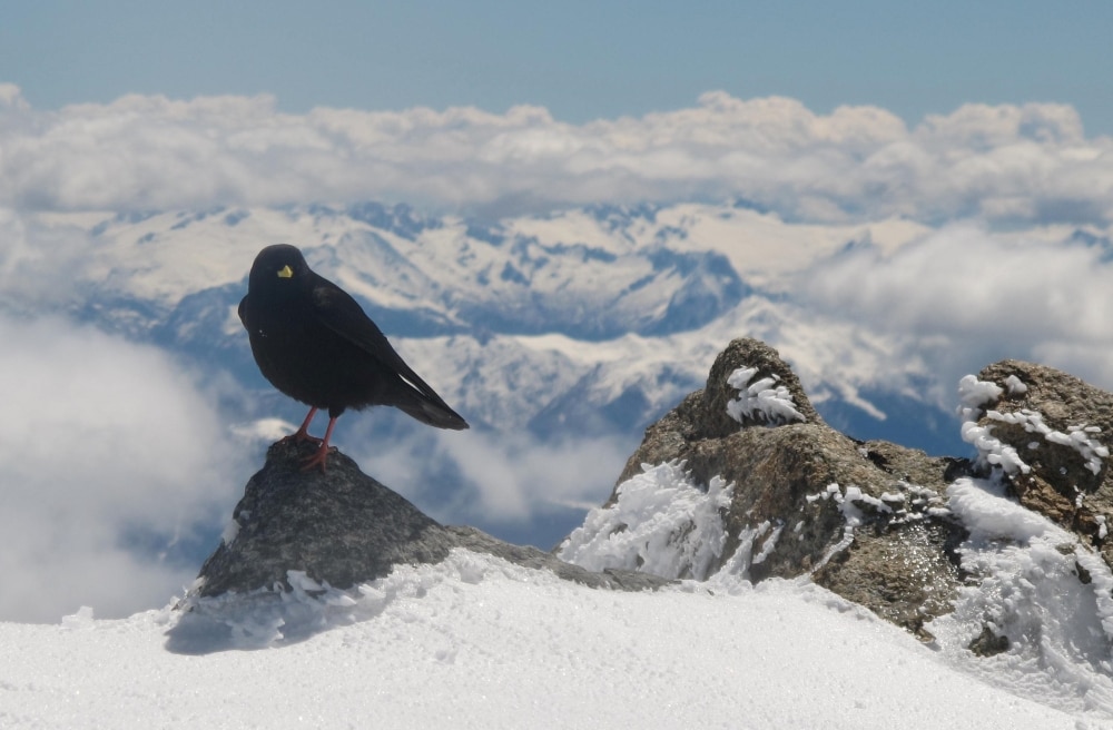 Essere guuida significa anche decidere come si sta nei luoghi, quali parole si usano per raccontarli (foto M. Comi).