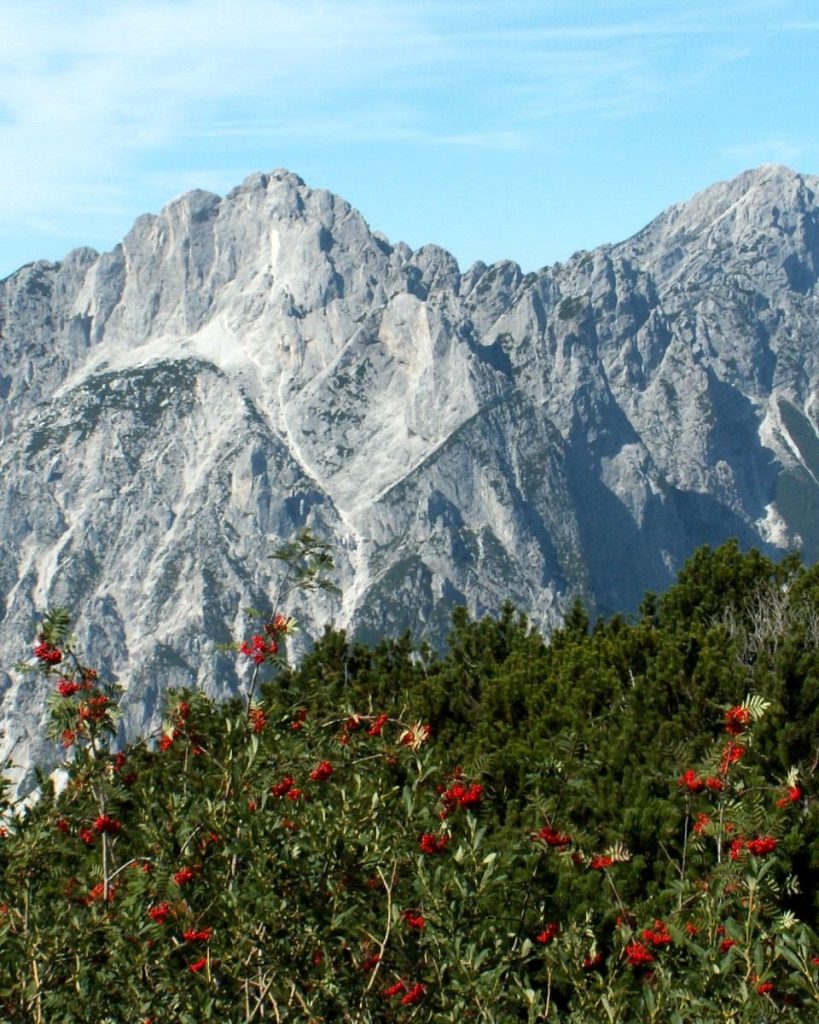 Foto FB Parco Naturale Prealpi Giulie