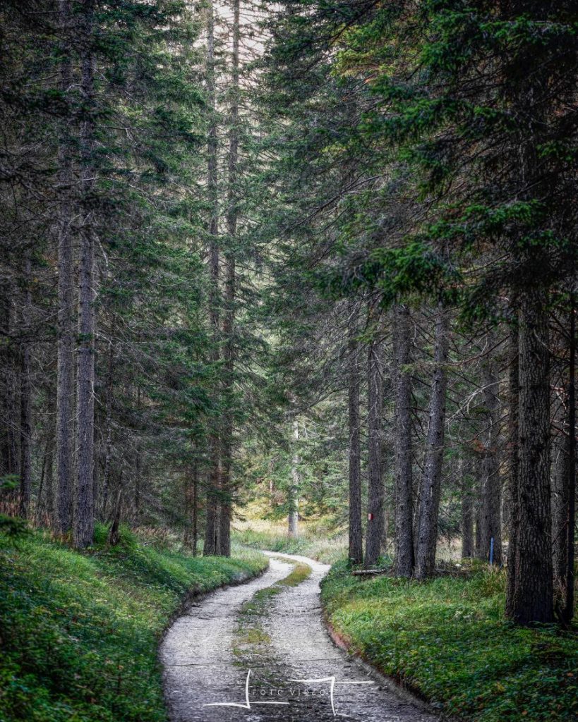 La strada che sale verso le cime. Foto Luigi Tassi