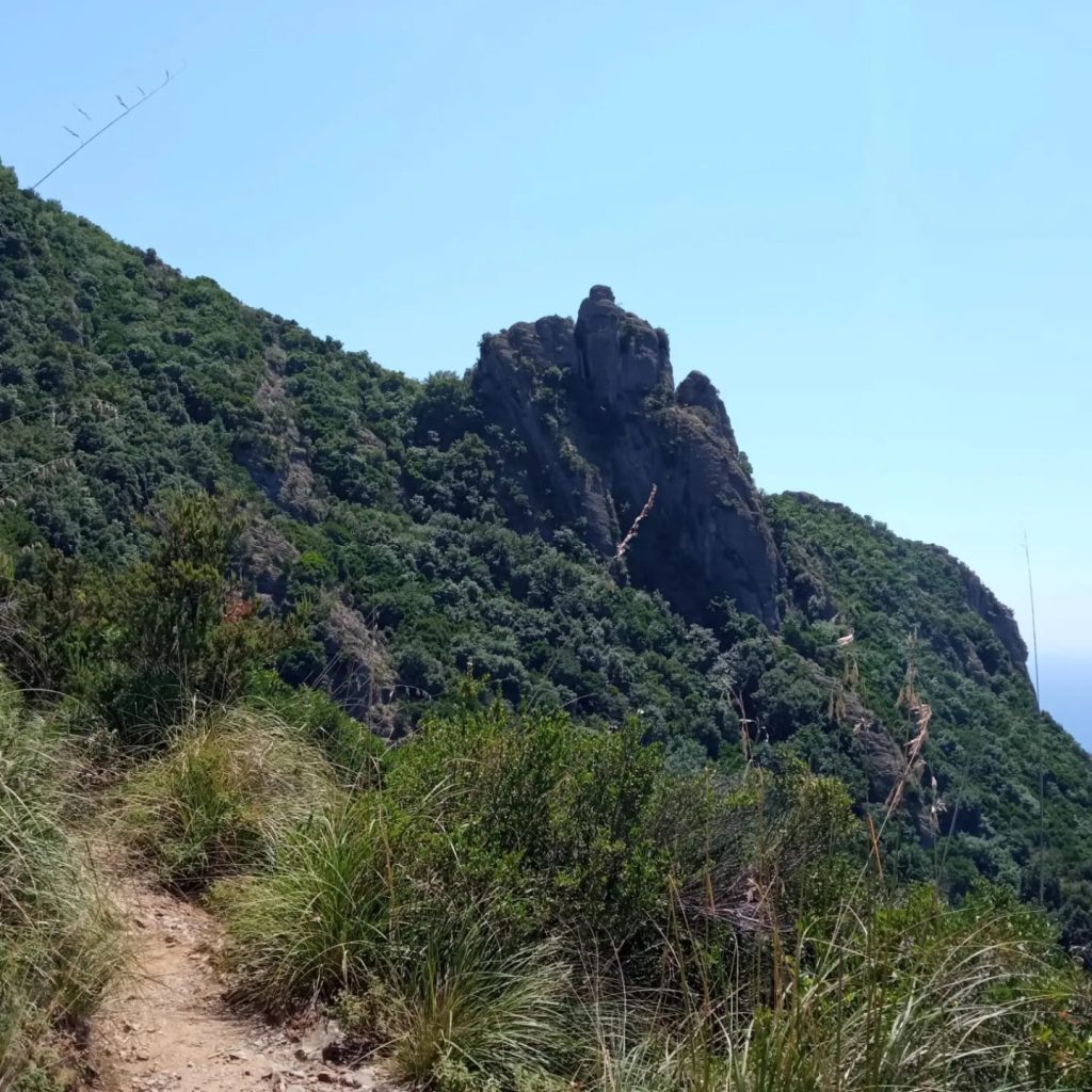Verso il Monte Bricco. Foto FB Parco di Portofino