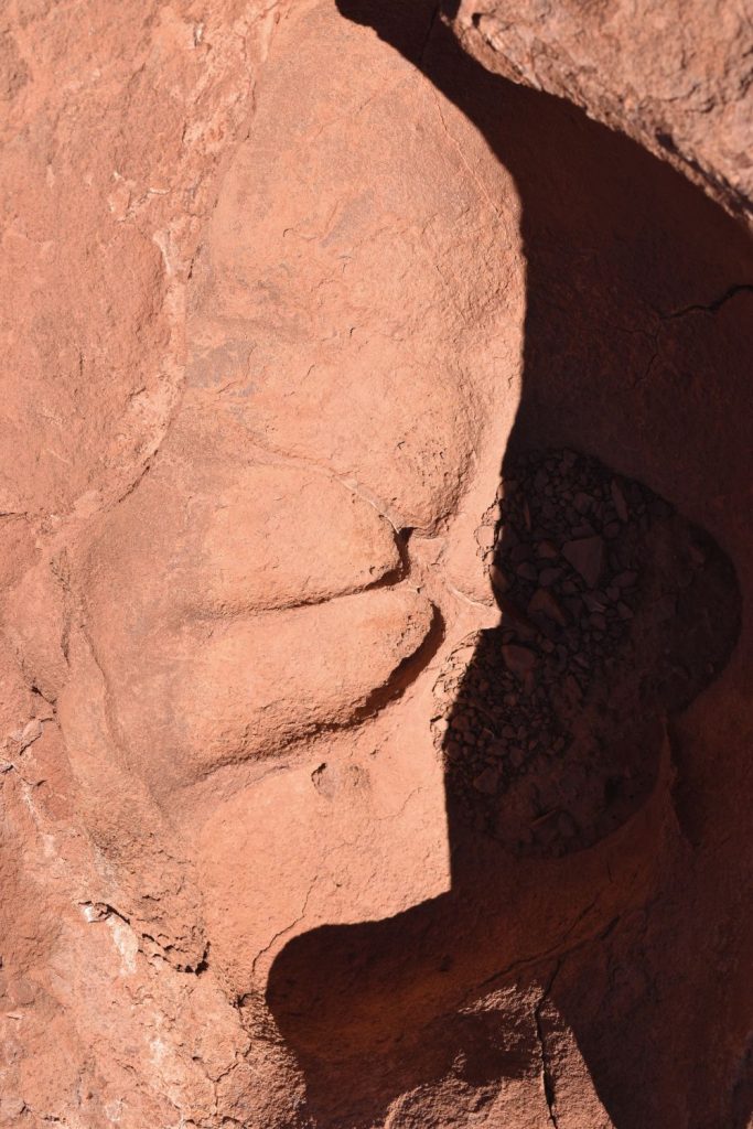 Luce materiale. Foto Roberto Casadei