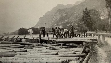 1930. Taglie in fluitazione nei pressi di una segheria a Codissago (da La via del Fiume dalle Dolomiti a Venezia, Cierre edizioni, 1993)