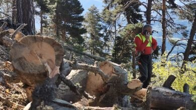 Decine di alberi di grosse dimensioni avevano interrotto i sentieri