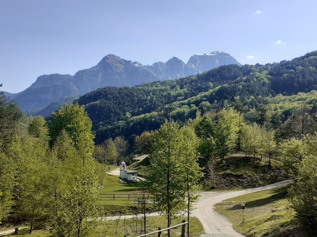 Foto FB Parco Naturale Prealpi Giulie
