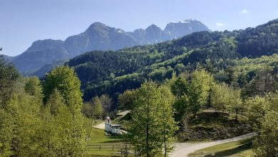 Foto FB Parco Naturale Prealpi Giulie